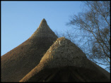 Reconstruction